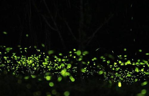 Meishan Haus | Zhulin View B&B