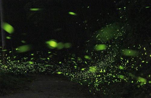 Meishan Haus | Zhulin View B&B