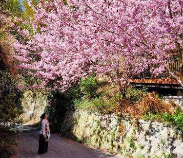 Meishan Haus | Zhulin View B&B