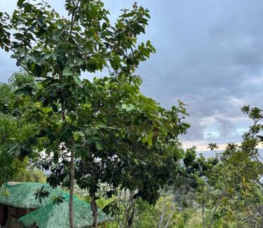 Oslob Sonstige | Zion View Point and Campsite