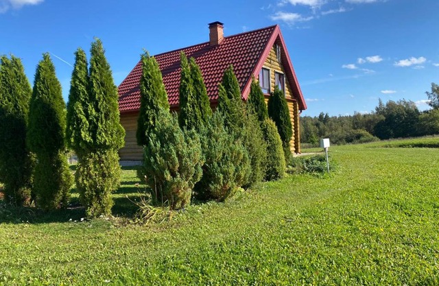 Žubītes