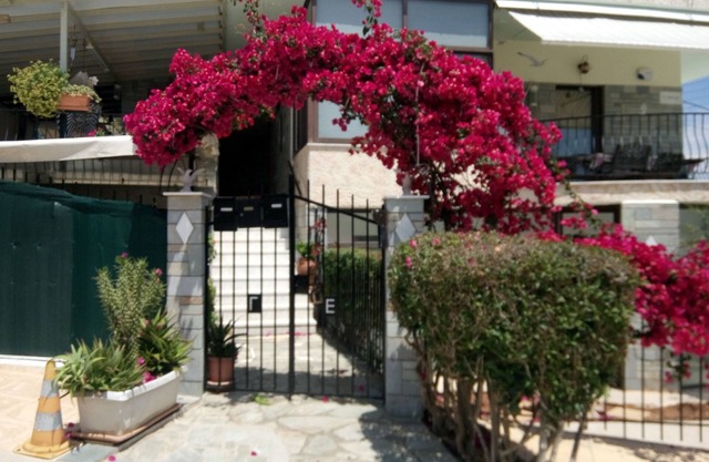 ΡΑ ΩΡΑΙΑ ΗΜΕΡΑ ΞΕΚΙΝΑ ΧΑΜΟΓΕΛΟΔΜΟΓΕΛΟ ΚΟΣΤΙΖΕΙΠΤΙΑ ΑΛΛΑ ΕΙΝΑΙ ΠΟΛΥΤΙΜΟ