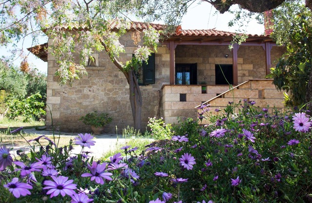 traditionelles Ferienhaus in der Ruhe des Olivenhains