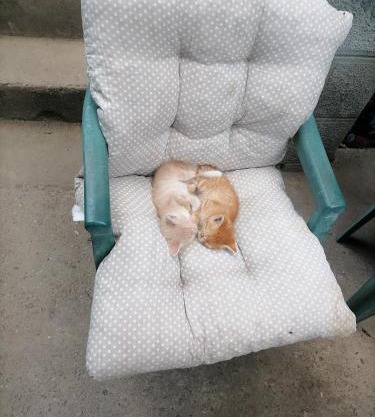 Гйкк