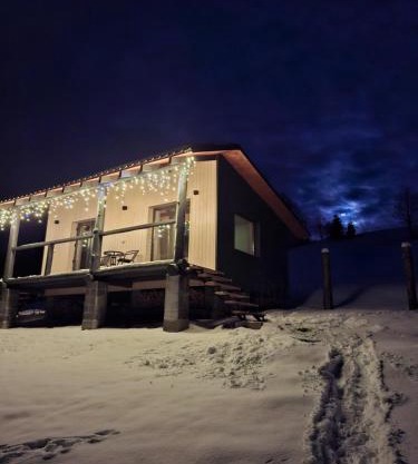 Котедж На Лузі