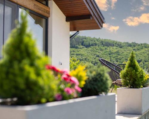 Котедж Шпаківня