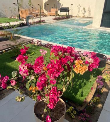 شاليه كوڤ 2 Cove Chalet