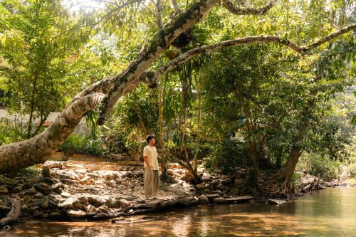 บุหลัน ธารา ล่องแก่งสตูล Bulhun Tara Satun