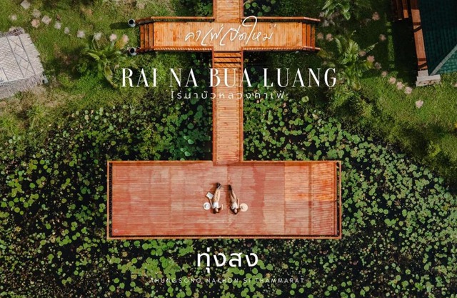 ไร่นาบัวหลวง คาเฟ่ & ฟาร์มสเตย์ RaiNa BuaLuang Cafe & Farm Stay
