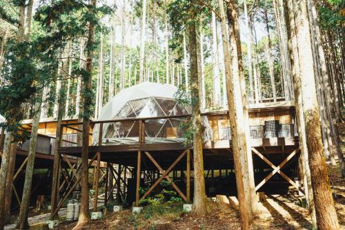 エメラルドの森