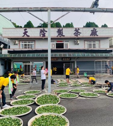 天隆民宿Tian Long Tea Farm HomeStay