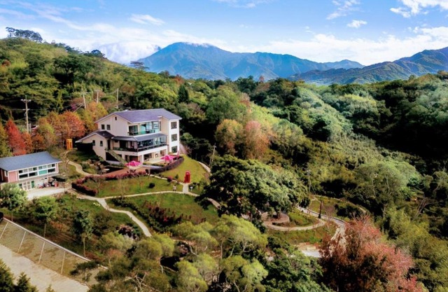 山水奇異San Shuei Kiwi桃園市民宿編號038 Homestay