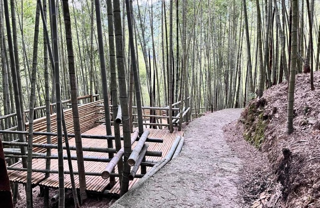 牛奶森林 柏竺山莊Bozhu villa