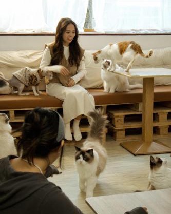 癒室Healing space貓咪咖啡廳寵物友善民宿-台東縣民宿2094號