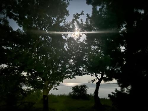 高島市一棟貸切 Biwa Lake琵琶湖 徒歩0分 大人数でご利用だとお得連泊がお得BBQ自転車無料利用可ペット可