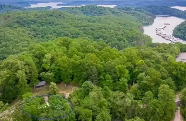 1/4 mile from Holly Creek Marina - 2700 sq ft cottage