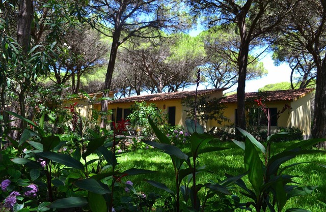 1 Ala Birdi Cottage Trilocale, Arborea, Italy