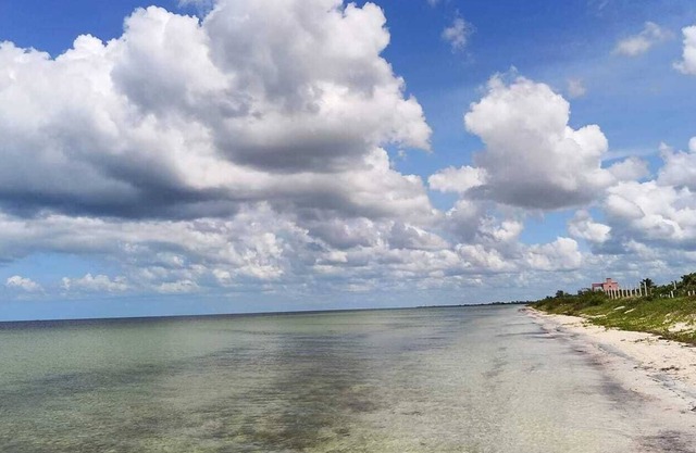 1 bed apartment. 100 feet from water