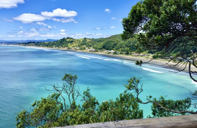 1 Bed Apt, West End Ohope 50m to Beach.