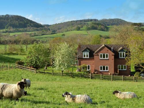 1 Bed in Ironbridge 73319