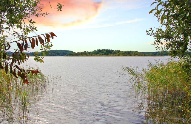 1 bedroom accommodation in Waren (Müritz)