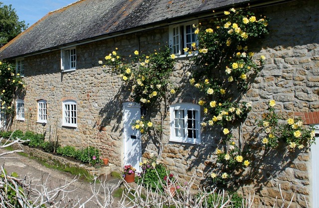 1 bedroom accommodation in Abbotsbury, near Weymouth