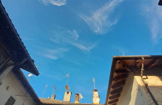 1 Bedroom Apartment in Cuneo