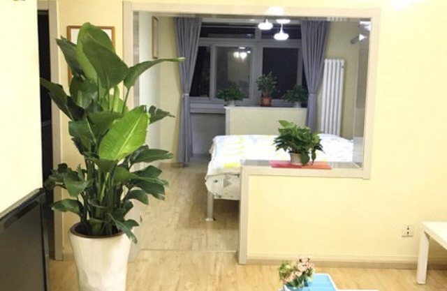 1-Zimmer-Wohnung in Peking CBD Guomao, 5 Minuten von der U-Bahn-Station L1 Guomao