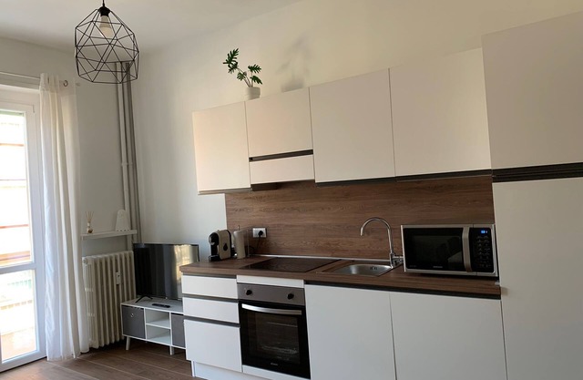 1 Bedroom Apartment in Turin