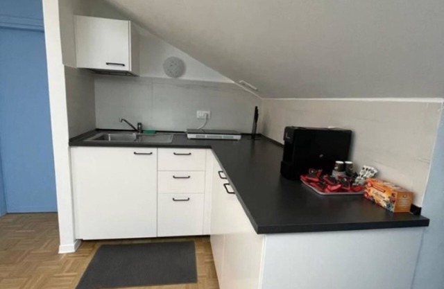 1 Bedroom Apartment in Turin