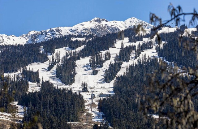 1-bedroom condo w free parking, WIFI and fitness room in the heart of Whistler