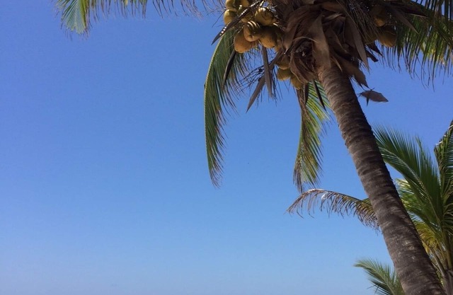1 Bedroom on Best Sandy Beach in Tulum. Snorkels, Kayaks, Paddleboards Included