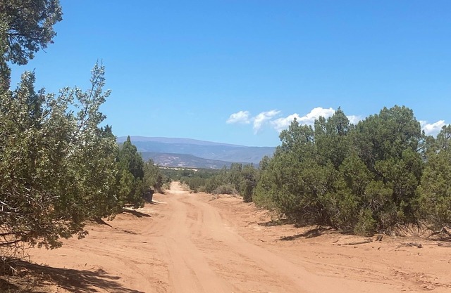 1-bedroom RV in amazing Roosevelt with WiFi, AC can sleep 4 adults and one child
