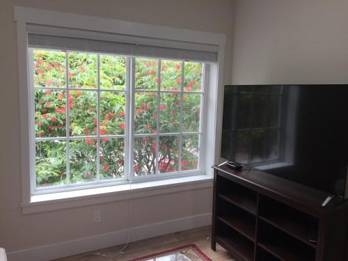 1 BR apartment