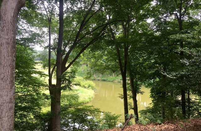 1 BR Kingsmill Resort Condo Minuten zum Colonial Williamsburg!