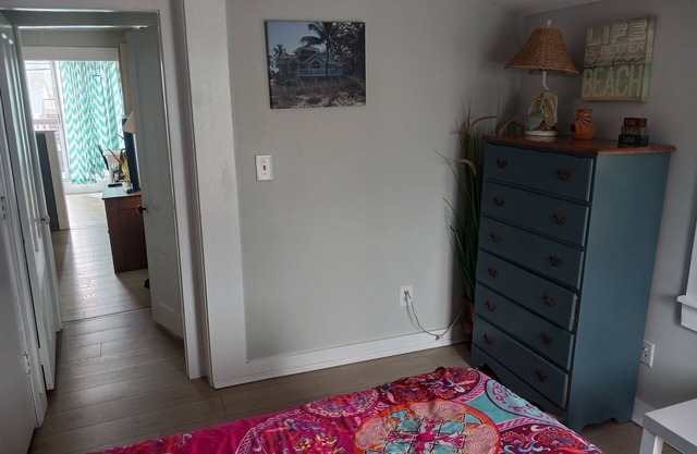 #1 Dog Friendly Location at the Beach... 1 minute walk to the Ocean