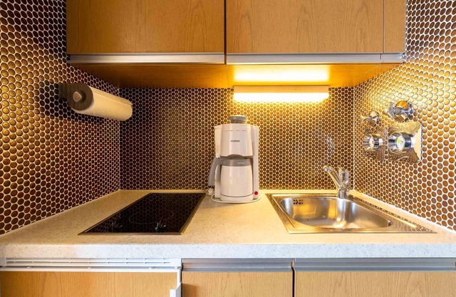 1-Zimmer-Apartment (Typ 1)