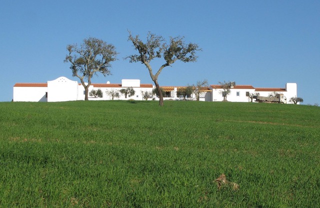 10 minutes from Porto Covo and beaches. Country house with swimming pool.