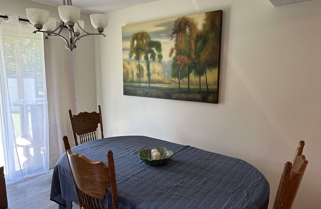 10 Minutes to Mayo Clinic! Duplex in Small Town Byron, MN.