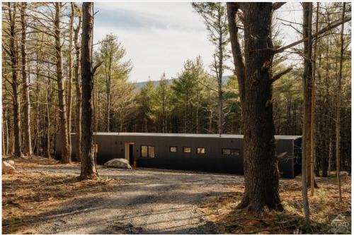100ft of Forest Light - Modern Catskills Escape