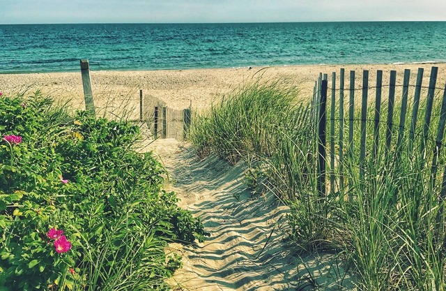 103 N. Shore Blvd #3- Cozy beach condo w. private path to E. Sandwich Beach