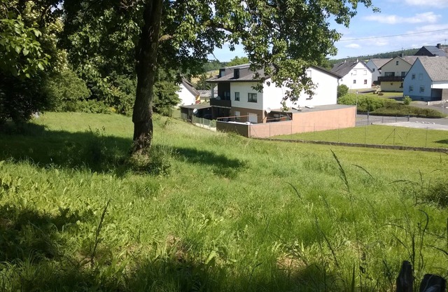 130 qm große Ferienwohnung am Nationalpark Hunsrück-Hochwald