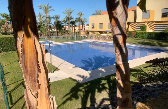 1387-palmera Golf
