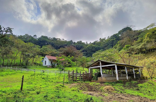 15 minutes from the magical town of Xilitla SLP! SAN AUGUSTINE Cabin