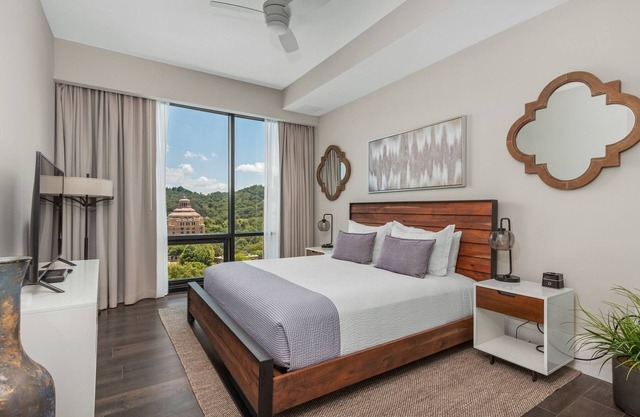 'Arras Altitude Adjustment' a Luxury Downtown Asheville Condo w Mountain Views