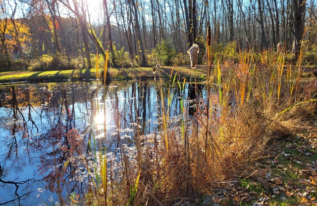 15% off; private pond; fireplace; 4-min to village