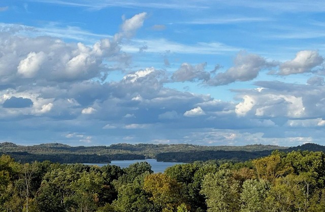 180 Degree Seneca Lake Views, privacy galore with hot tub. Sleeps 9