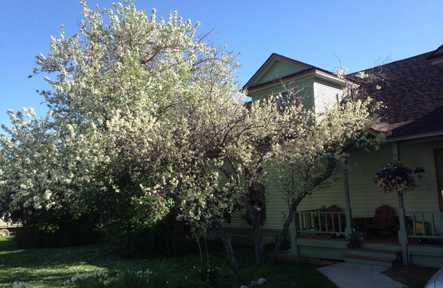 1910 Montana Charm! Experience the warmth and feel of a small- town home!