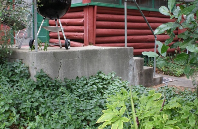 1930's Rustic Studio Kabine auf einem Privatbesitz, Schlafmöglichkeiten für 2
