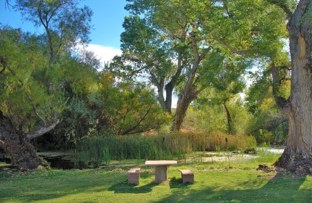1BR Casita close to wineries in the Verde Valley, quick drive to Sedona, Jerome and Cottonwood